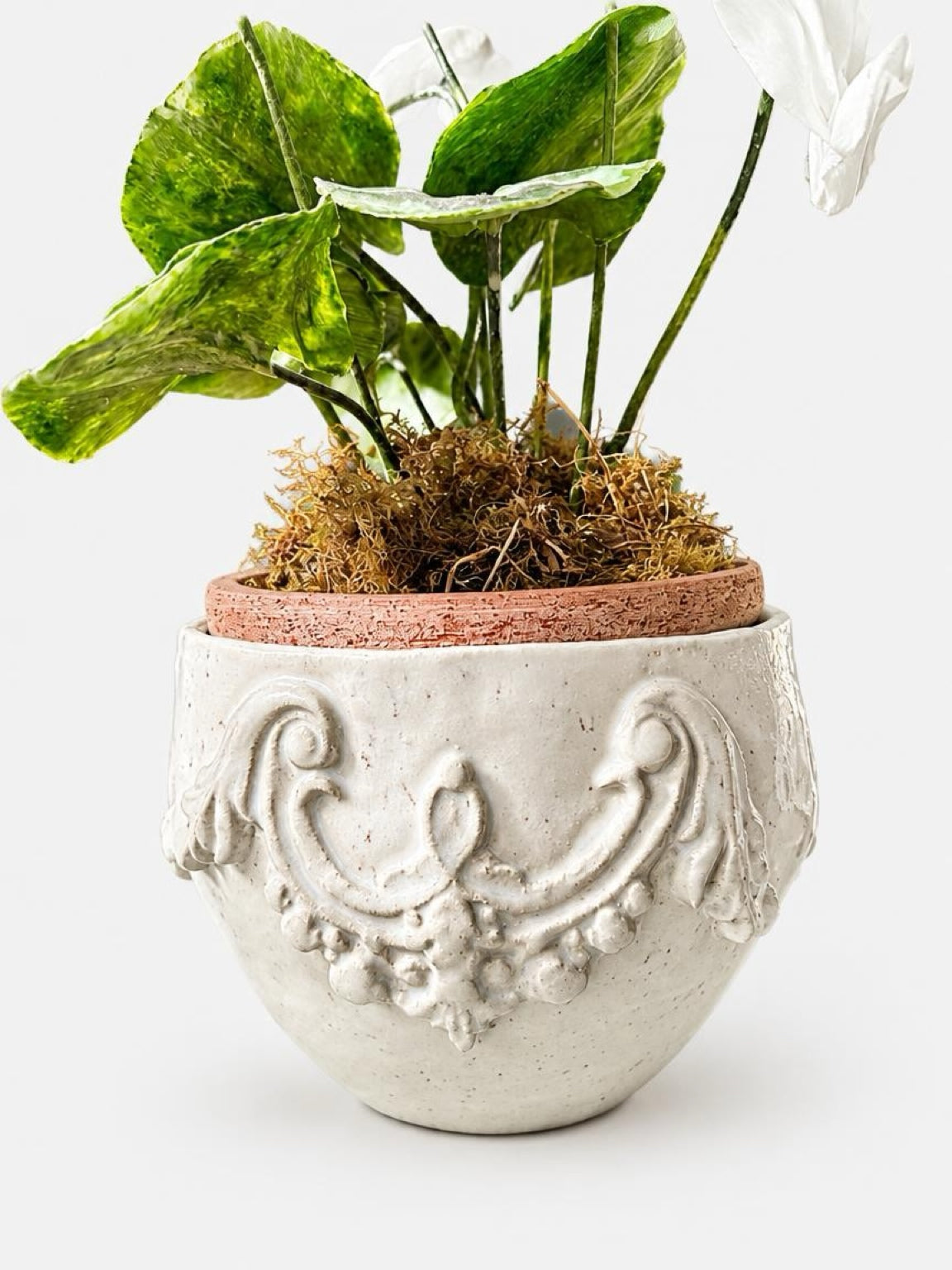 Scroll Pot