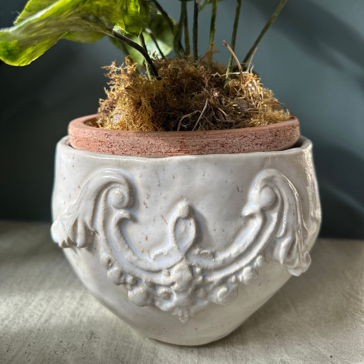 Scroll Pot